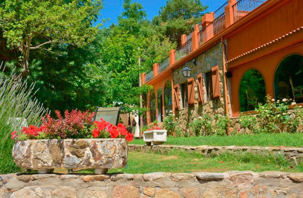 Hostal Almanzor Gredos Navarredonda de Gredos Dış mekan fotoğraf