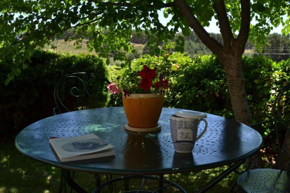 Hostal Almanzor Gredos Navarredonda de Gredos Dış mekan fotoğraf