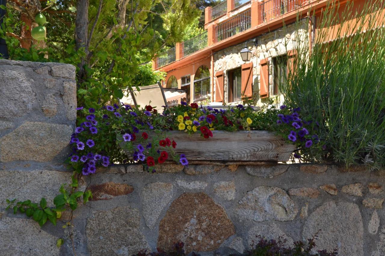 Hostal Almanzor Gredos Navarredonda de Gredos Dış mekan fotoğraf