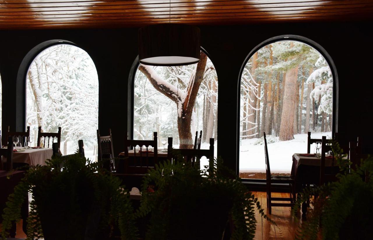 Hostal Almanzor Gredos Navarredonda de Gredos Dış mekan fotoğraf