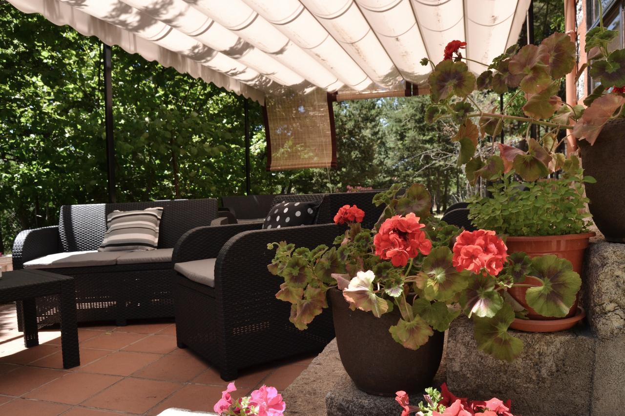 Hostal Almanzor Gredos Navarredonda de Gredos Dış mekan fotoğraf