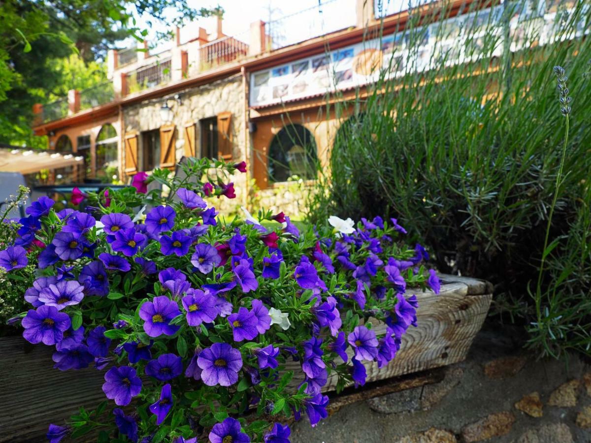 Hostal Almanzor Gredos Navarredonda de Gredos Dış mekan fotoğraf