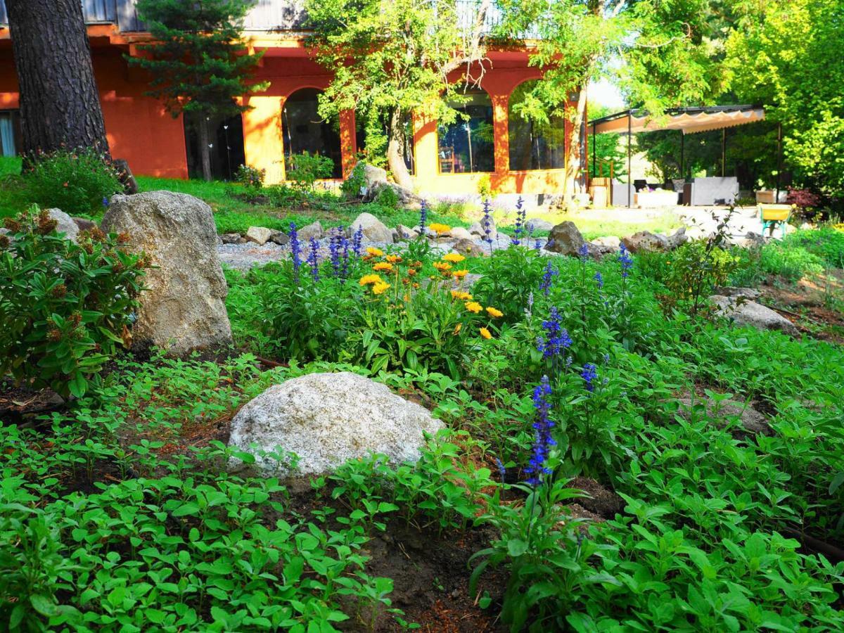 Hostal Almanzor Gredos Navarredonda de Gredos Dış mekan fotoğraf